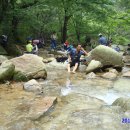 기선목장 이미지