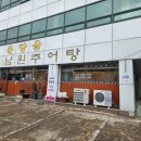 사파동262 이미지