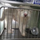 송정2길 이미지