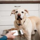 연희동물병원 이미지