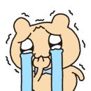 통큰도매횟집