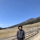 성현목장 이미지