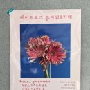 메이트로즈카페 이미지