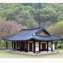 신안사 이미지