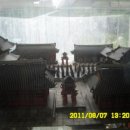 순천-62호 이미지