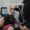 탈모케어존부산 - 동래구 충렬대로137번길 7 | 동래두피관리, 탈모케어존 부산동래점 프리미엄 모근강화케어 추천 후기