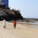 명가찬방 우리수산 | 전북 부안 변산반도 당일치기 여행 채석강 맛집 팔도명가 vs 격포수산시장 광어회