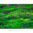 고향민속마을 이미지