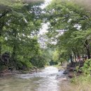 팔현리163 이미지