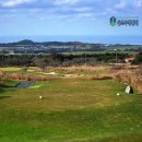 아덴힐CC | 제주도 골프장 부킹 사계절 인기 좋은 제주 아덴힐cc 후기