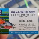 용원농수산직판장
