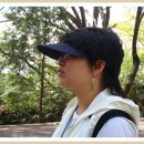 희봉선생 이미지