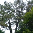 해안둘레길 화장실 이미지