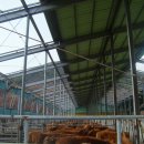 순한농장 이미지