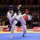 올림픽태권도체육관 이미지