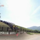 평창자연속쉼표