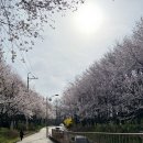 성라공원(9지역) 이미지