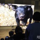 돈수농장 이미지