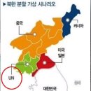 북한 정권 붕괴 시 한반도 이미지