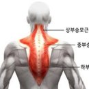 로빈짐 이미지