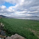 목화휴게소 이미지