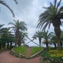 상가리농장 이미지