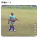 흑꽃돈