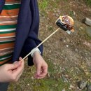 대명가든 | [공지] [홍천여행] 소노펠리체 비발디파크 BBQ 셀프가든 이용후기 (예약방법, 영업시간)