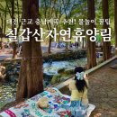 칠갑산마트 | 충남 청양 칠갑산 자연휴양림 계곡 물놀이 입장료 총정리! 대전 근교 계곡 추천