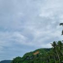 미미여행사 이미지