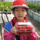 김정호 농장 이미지