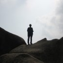 석곡돼지한마리