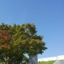 고현-0091 이미지