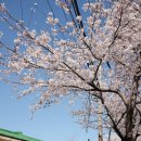 예래동사무소 이미지