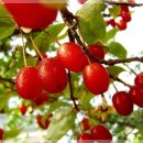 오렌지부동산공인중개사사무소 이미지