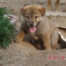 개구멍 이미지
