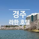 경주 라한호텔 벚꽃시즌 숙박 후기( 디럭스 트윈 호수뷰 )