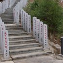 약동안양 이미지