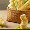 다성농장 이미지