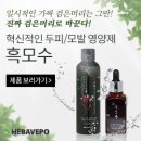 헤바베오 (Hebavepo) 이미지