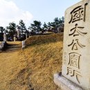 뒤뜰공원 이미지