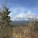 제주 올레길 1-1코스 | 제주 올레길 7-1코스 고근산 정상 후기｜중간 스탬프 찍기 좋은 낮은 산, 한라산·서귀포 바다 전망