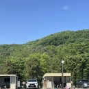 근교 경기도 포천 카라반 아이랑 캠핑장 알맹이캠핑장 1박 후기 ㅣ 자리 꿀팁 예약 키즈 수영장 온수풀