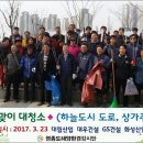 [뉴스] 2017 영종 하늘도시 봄맞이 대청소 이미지