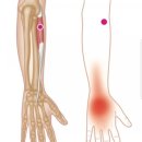 주 PT GYM 이미지