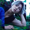 에이스 - 금정구 안뜰로19번길 27 | 에이스