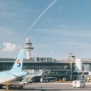 제주 동쪽 여행