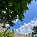 티엔티학원 이미지