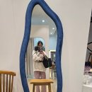 동탄) 애견 프로필사진 촬영 동탄퍼스널사진관 후기
