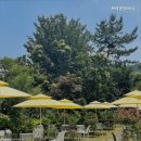 브라운피크닉 이미지